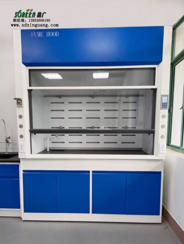 山東實驗臺廠家全鋼通風柜化學化驗通風櫥