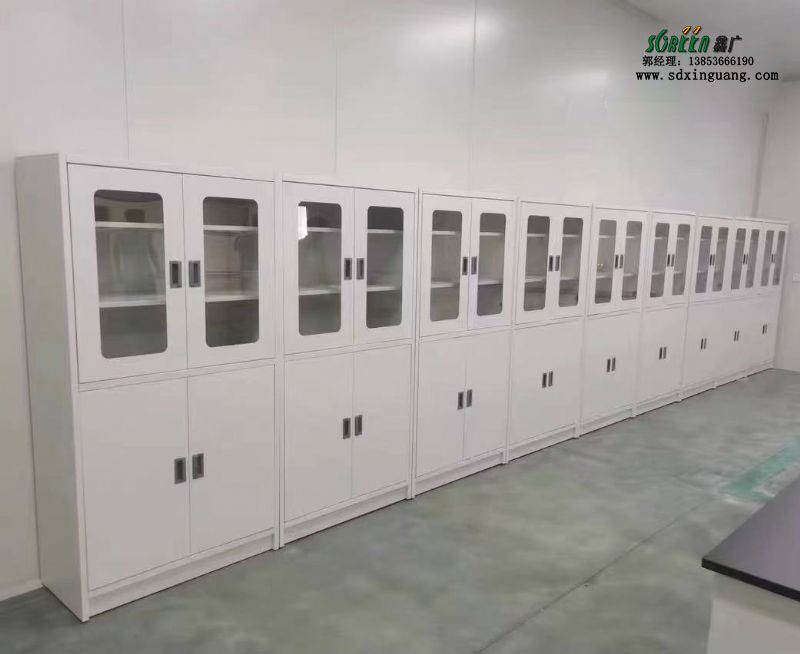 山東實驗室試劑柜實驗室器皿柜強酸堿儲存柜